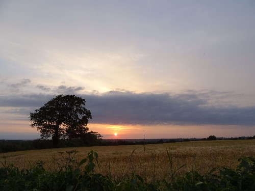 A tranquil country sunset over a cornfield looking out over the hills from Tipperary to Galway