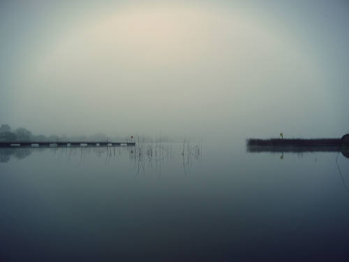 Foggy Lake scene at dawn