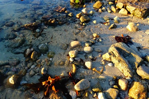 The marble stones on the beach in Silverstand looking invigorating as the sun rises