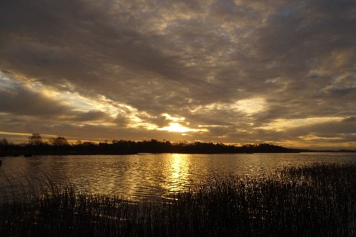 Sparkling sun glistening off the lake in Portumna