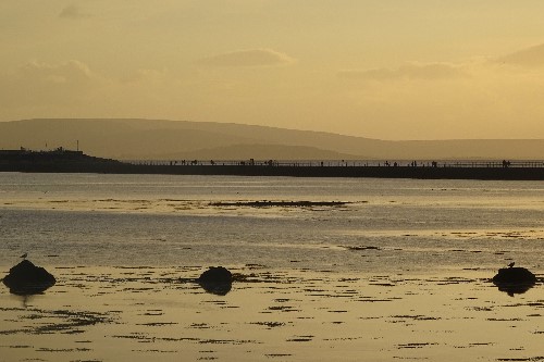 Two birds sitting on rocks, to the left & right of the image with a birds eye view of the yellow sunset