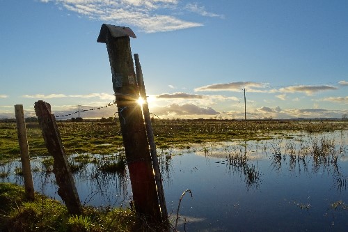 Sun splitting a post with still reflective pond in the background